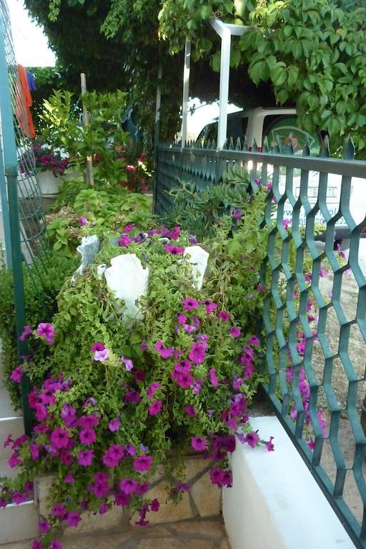 Apartment Boja Biograd Na Moru Dış mekan fotoğraf