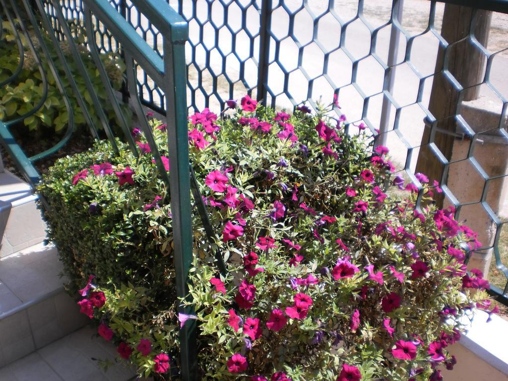 Apartment Boja Biograd Na Moru Dış mekan fotoğraf